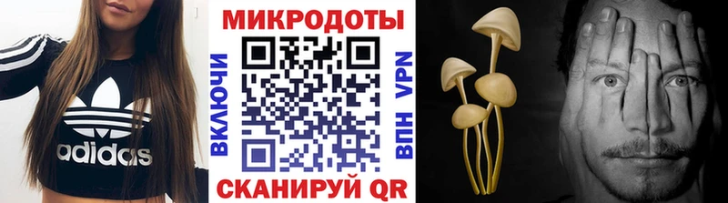 Галлюциногенные грибы Psilocybe  площадка как зайти  Лесозаводск 